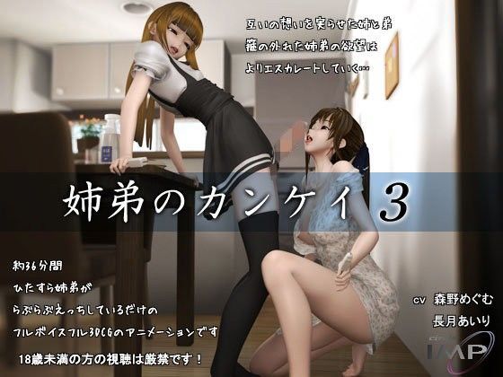 ｜姉弟のカンケイ3❤IMP