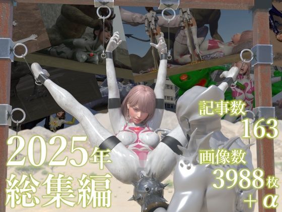 ｜tsumayoji研究所 2025年 総集編❤tsumayoji研究所